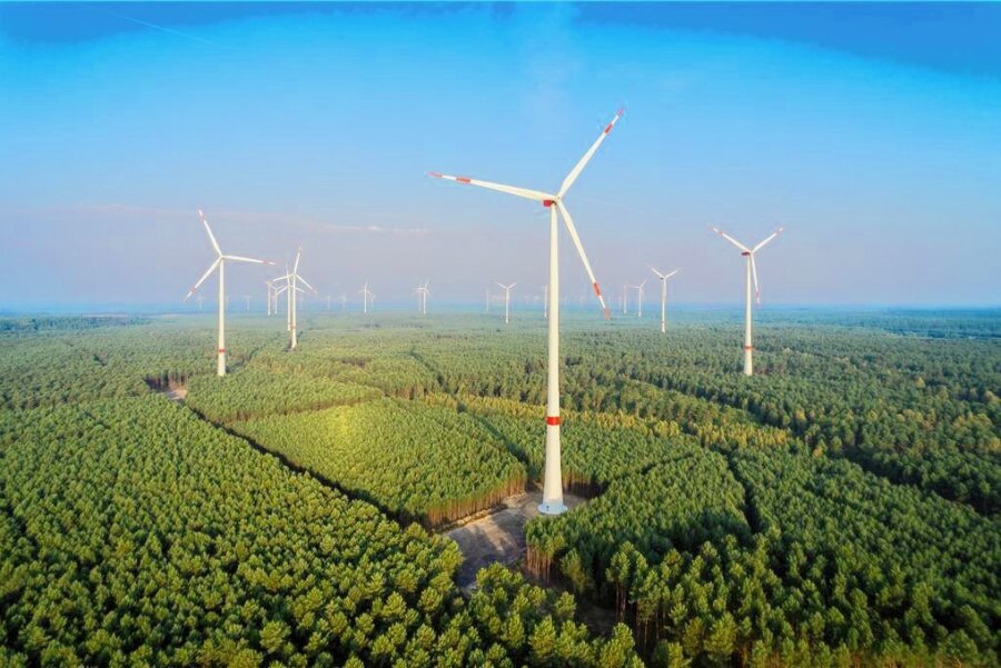 In diesen Wäldern in Sachsen könnten Windräder stehen - Die Windräder überragen die Bäume um Längen.