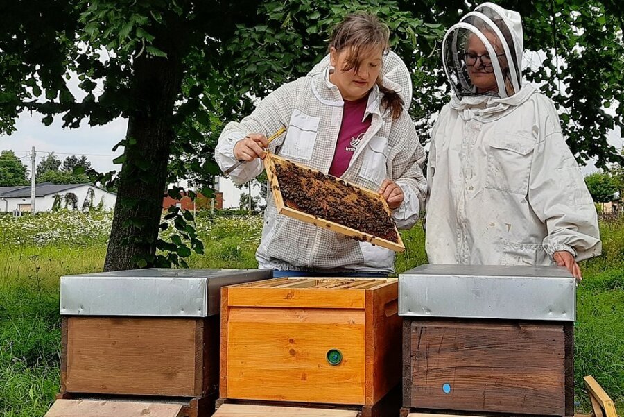 In Glauchau summen neuerdings Bienen beim Trinkwasserzweckverband - Imkerin Silke Ilge (links) und RZV-Sprechein Selina Gottschalk sehen sich die Waben an.