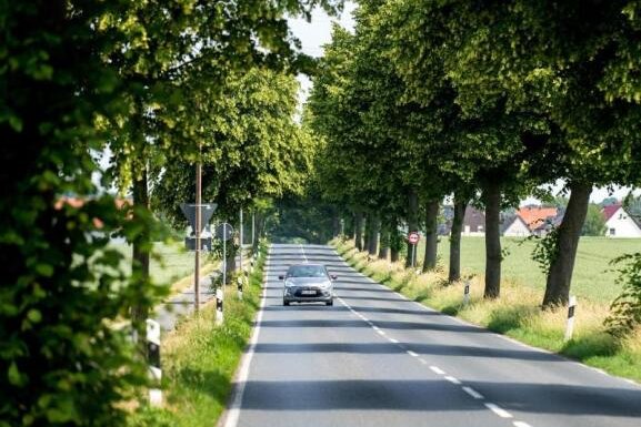 In Niederschöna rollt ab Donnerstag wieder der Verkehr - 