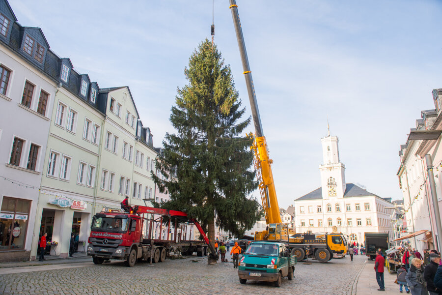 In Schneeberg steht seit Donnerstag der Weihnachtsbaum - Bei dem Baum handelt es sich um eine 20 Meter hohe Fichte.