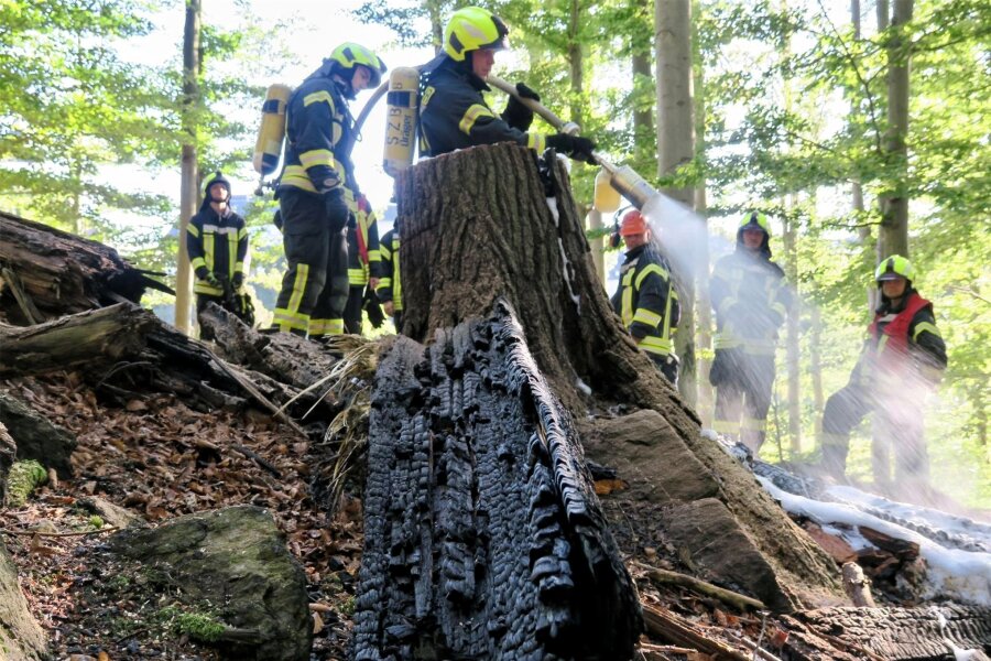 In Schwarzenberg brennt der Baum - Feuerwehrleute aus Schwarzenberg konnten Schlimmeres verhindern.