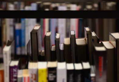 Innovationen gefragt: Bibliothekspreis 2024 ausgelobt - Bücher stehen in der Zentralbibliothek der Städtischen Bibliotheken im Kulturpalast in Regalen.
