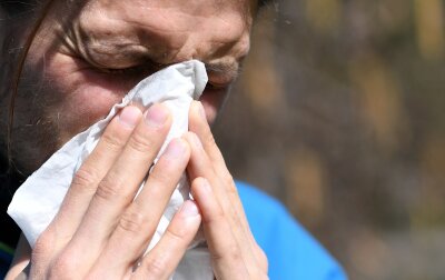Intensiver Start in die Pollen-Saison: Für Allergiker gibt es kaum Pausen - Es krabbelt in der Nase. 