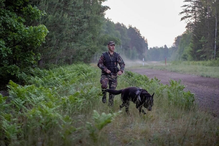 Ein litauischer Grenzschützer patrouilliert mit einem Hund an der grünen Grenze zu Belarus. 