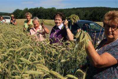 Irfersgrüner Landfrauen ernten Getreide für den Erntekronenwettbewerb - Gisela Dietel, Cornelia Hackel, Christa Winkler, Christina Purrucker, Christine Gruner und Gisela Müller (von links) waren beim Roggenschneiden dabei. 