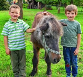 Ist Malmo das älteste Pferd in Sachsen? - Auch die Nachbarkinder Tamo (l.) und Mats haben in Mühlbach Pony Malmo ins Herz geschlossen. Beide helfen regelmäßig bei der Pflege des mittlerweile 42 Jahre alten Pferdes. 