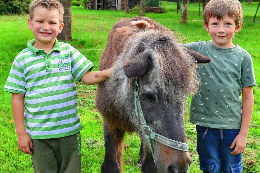Ist Malmo das älteste Pferd in Sachsen? - Auch die Nachbarkinder Tamo (l.) und Mats haben in Mühlbach Pony Malmo ins Herz geschlossen. Beide helfen regelmäßig bei der Pflege des mittlerweile 42 Jahre alten Pferdes. 