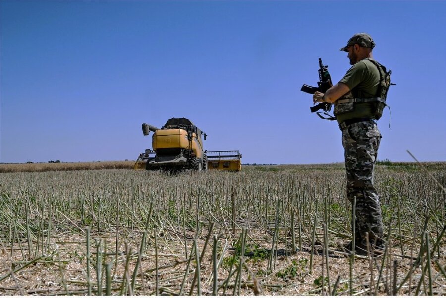 Ein Soldat steht während der Erntezeit auf einem Feld in der ukrainischen Region Saporischschja. 