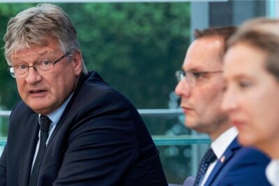 Jörg Meuthen will nicht mehr für AfD-Vorsitz kandidieren - 