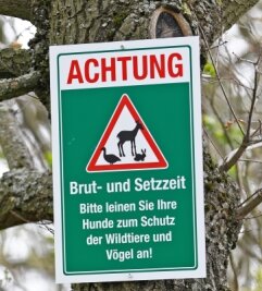 Jäger starten Aktion zum Schutz von Tierkindern - Mit diesen Schildern appellieren die Jäger an Waldbesucher mit Hunden. 