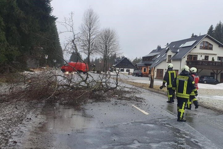 Die Freiwillige Feuerwehr von Johanngeorgenstadt musste wegen umgestürzten Bäumen ausrücken.