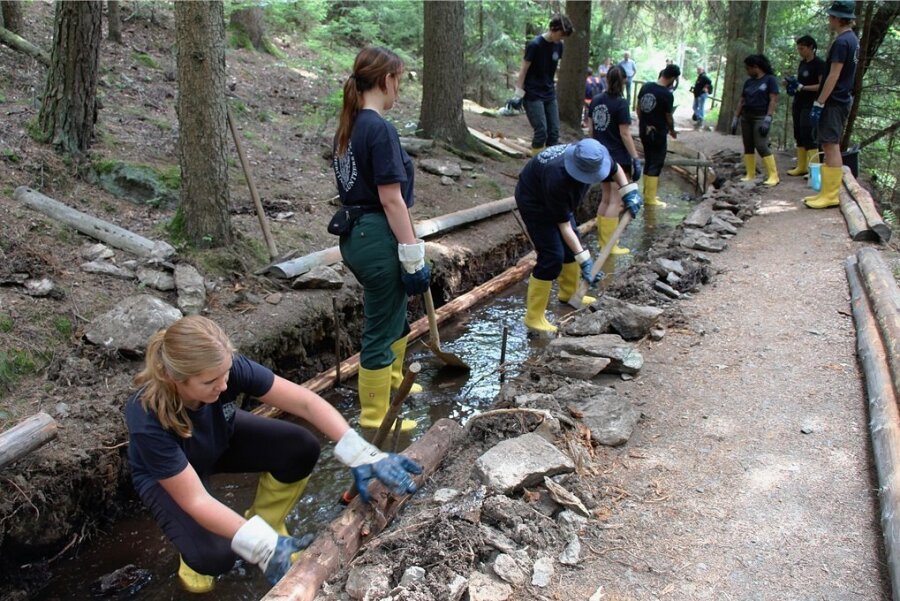 Einsatz für das Welterbe: Der Röhrgraben in Ehrenfriedersdorf als Bestandteil der Bergbaulandschaft erhält derzeit im Rahmen eines internationalen Freiwilligen-Projektes unter anderem neue Hölzer. 
