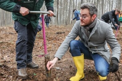 Junge Bäume für den Stadtwald - rechts: Robert Volkmann, Bürgermeister in Limbach-Oberfrohna