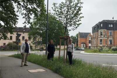 Junge Bäume peppen das Stadtbild von Reichenbach auf - Sie haben an den Bahnhofstraßen-Linden noch mal nach dem Rechten geschaut. Von links: Peter Tillak, früherer Vereinsvorsitzender, Fielmann-Niederlassungsleiterin Doren Poser und die neue Vereinsvorsitzende Ines Schröter-Reißmann.