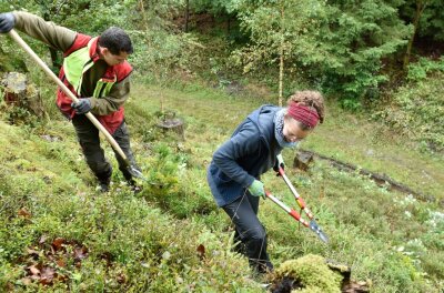 Junge Europäer unterstützen Naturschutzprojekte im Vogtland - An einem felsigen Hang im Revier Erlbach arbeiten Magali Röhrich aus München und Sachsenforst-Mitarbeiter John Hahn an der Erhaltung eines Kreuzotterhabitats. 