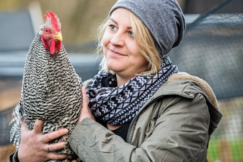 Junge Frau entdeckt Hühnerzucht für sich - Julia Salmonat züchtet Amrocks. Erst im vergangenen Jahr hat sie dieses Hobby für sich entdeckt. 