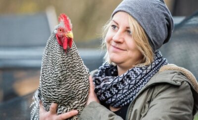 Junge Frau entdeckt Hühnerzucht für sich - Julia Salmonat züchtet Amrocks. Erst im vergangenen Jahr hat sie dieses Hobby für sich entdeckt. 