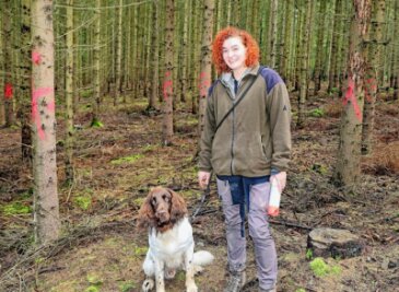 Junge Frau ist Borkenkäfern auf der Spur - Maria Bischoff und ihr Hund Chester laufen auch den Abschnitt oberhalb des Leubnitzweges im Werdauer Wald regelmäßig ab und kontrollieren die Bäume auf Borkenkäferbefall. 