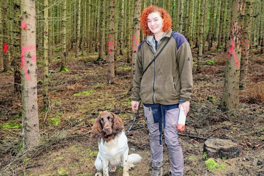 Junge Frau ist Borkenkäfern auf der Spur - Maria Bischoff und ihr Hund Chester laufen auch den Abschnitt oberhalb des Leubnitzweges im Werdauer Wald regelmäßig ab und kontrollieren die Bäume auf Borkenkäferbefall. 