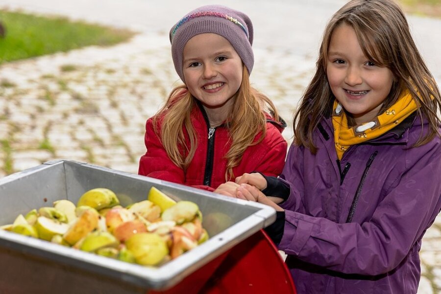 Junge Naturwächter helfen in Oberlauterbach, aus Äpfeln Saft zu machen - Anika (rechts) und Paula beim Zerkleinern der Äpfel. 
