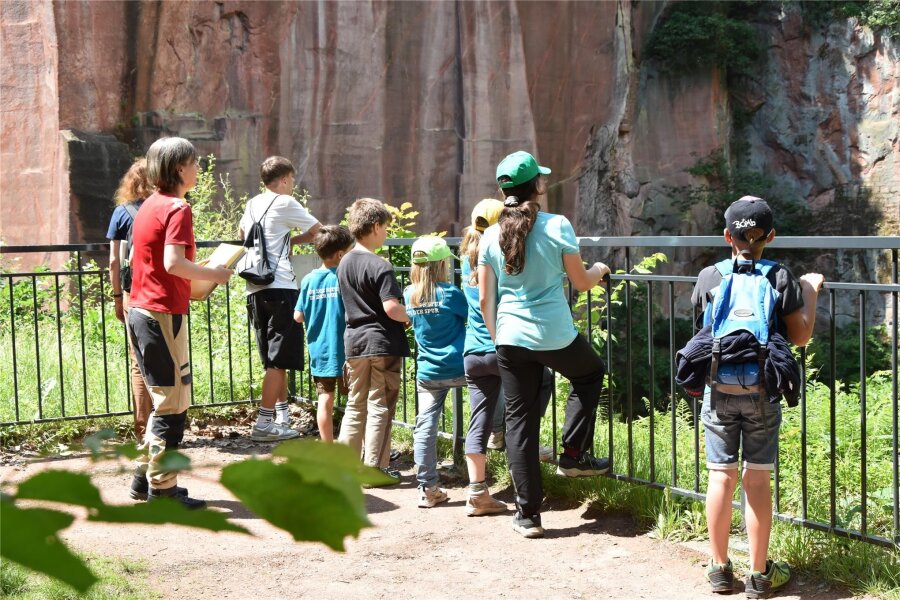 Junge Naturwächter: Neuer Kurs beginnt im Sommer in Weiditz - Teilnehmer des Programms „Junge Naturwächter“ aus dem Landkreis haben sich auf dem Rochlitzer Berg getroffen.