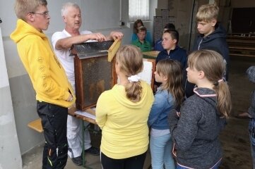 Junge Züchter tauschen sich aus - Imker Jürgen Richter zeigte den Jugendlichen seine Bienen. 