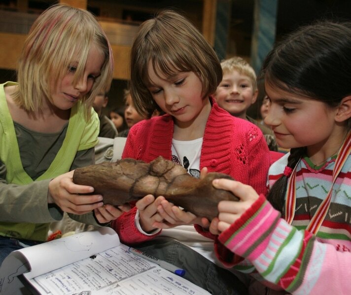 Junge Zuhörer verblüffen den Dozenten - 
              <p class="artikelinhalt">Lissy Baumgartner, Melissa Heinzig und Lara Kämpf untersuchen den Abguss eines Dinosaurierknochens.</p>
            