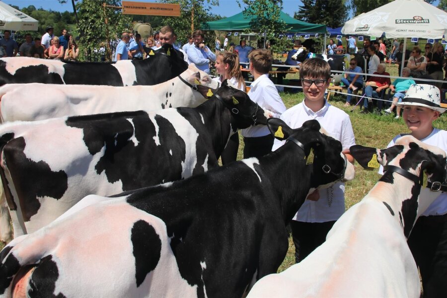 Jungzüchter aus dem Vogtland zeigen ihre Tiere - Junge Leute und junge Rinder starten am Sonntag bei einem Wettbewerb.