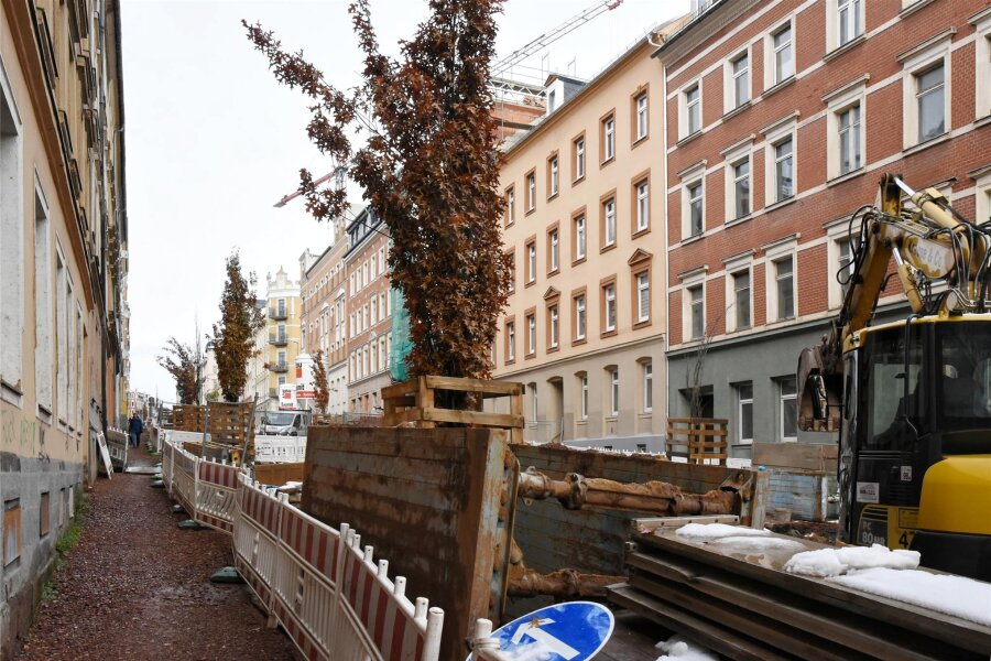(K)eine Allee namens Zietenstraße: Was ist aus den Bäumen auf dem Sonnenberg geworden? - Lebende wie auch bereits tote Bäume werden vor den Bauarbeiten geschützt.