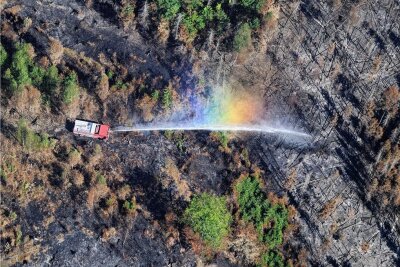 Kabinett bringt neues Blaulichtgesetz auf den Weg - Löscheinsatz im Nationalpark Sächsische Schweiz Anfang August vorigen Jahres. Die bei der Bekämpfung des katastrophalen Waldbrandes gesammelten Erfahrungen flossen mit in den Gesetzentwurf ein. 