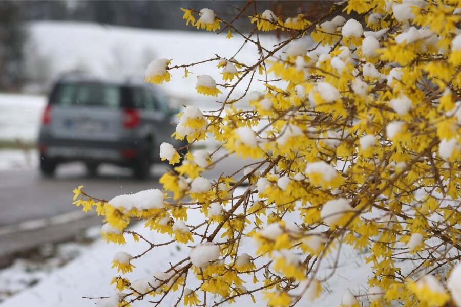 Kälteeinbruch im Erzgebirge trifft Autofahrer: Was tun, wenn ich bereits mit Sommerreifen fahre? - Nur wenige Tage zuvor haben sich Erzgebirger bei frühlingshaften 20 Grad bereits gesonnt. Jetzt kann es wieder zu Schneefall kommen.