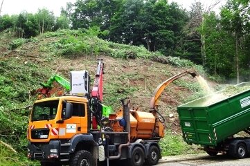 Kahlschlag am Roten Berg - Im Auftrag der Firma Mitnetz werden in Steinpleis Bäume gefällt, die in den Sicherheitsbereich von Stromleitungen ragen. 