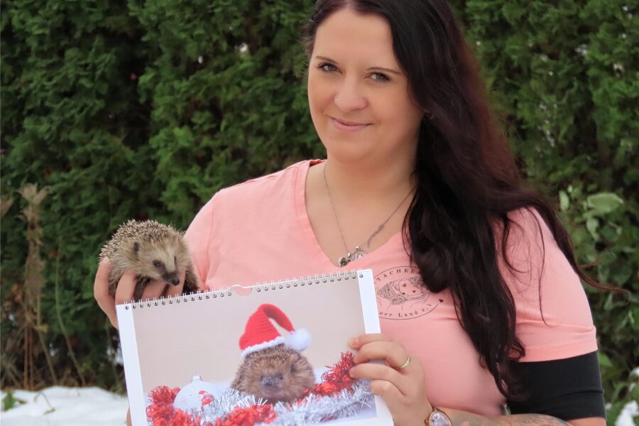 Kalender sollen auch auf Werdauer Weihnachtsmarkt Geld für Igelrettung einspielen - Kristin Trodler mit Igel Lotte und einem Igel-Kalender. Sein Verkauf soll der Igelrettung dienen.