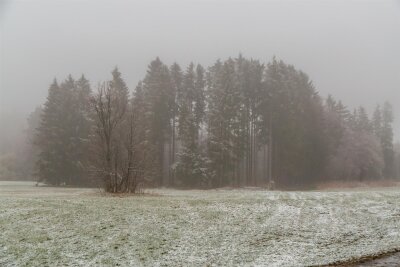Kaltfront vertreibt warmes Frühlingswetter aus dem Erzgebirge - Dünne Schneedecke im oberen Erzgebirge (Archiv).