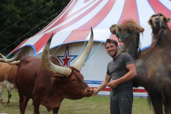 Gitano Frank gehört samt Rindern und Kamelen zum Circus Arena. Der gastiert derzeit in Bad Schlema auf dem Festplatz. 