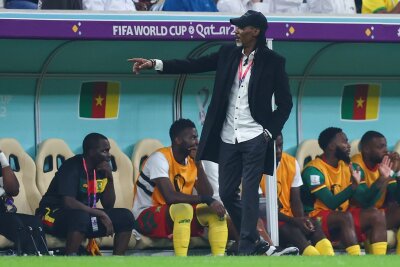 Kameruns Sportministerium ernennt neuen Coach - Nun steht ein Nachfolger für Kameruns ehemaligen Trainer Rigobert Song fest.