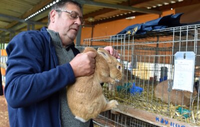 Kaninchenzüchter mit Leistungsschau zufrieden - 