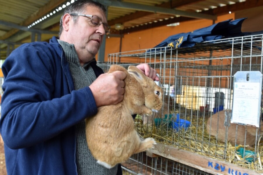 Kaninchenzüchter mit Leistungsschau zufrieden - 