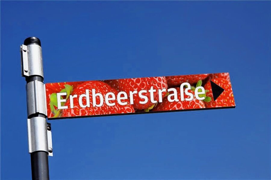 Karls Erlebnisdorf: Erdbeeren überall - in Döbeln, im TV und bei Tiktok - Die Zufahrtsstraße zum Erlebnisdorf in Döbeln soll den Namen "Erdbeerstraße" tragen. 