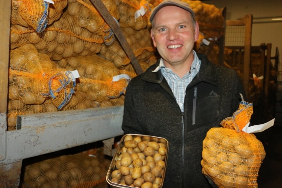 Kartoffel-Ertrag schrumpft auf die Hälfte - Christian Kluge-Sammer, Juniorchef der Agrarproduktion Reuth, mit den Minis, die von der Gastronomie sehr gut nachgefragt sind. Man kann die kleinen Frühkartoffeln mit Schale essen. 