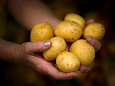 Kartoffelfest lockt Kauf- und Schaulustige - 