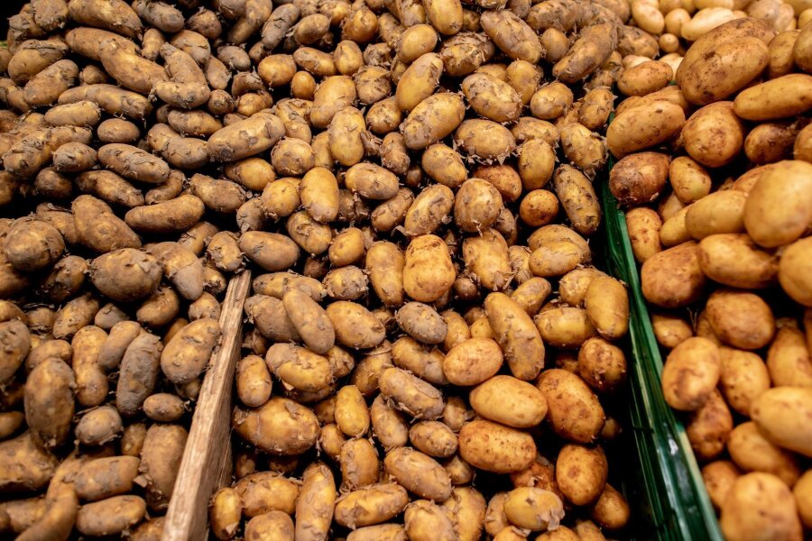 Kartoffeln knapp und teuer - Allgemein ist das Angebot an Frühkartoffeln in diesem Jahr eher knapp.