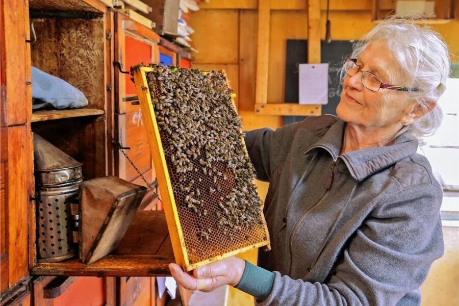 Fast alle Bienenvölker von Herta Uhlmann haben den vergangenen Winter gut überstanden. Zufrieden ist die Imkerin aus Langenchursdorf dennoch nicht: "Die Stärke der Völker ist noch auf einem Stand wie im Februar."