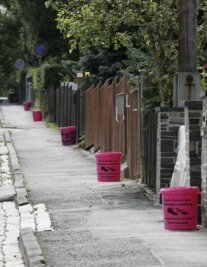 Katzenbesitzer bangen um ihre Lieblinge - 
              <p class="artikelinhalt">Diese pinkfarbenen Plastetonnen erregten im August 2007 die Gemüter von Tierliebhabern im Plauener Stadtteil Preißelpöhl. Bei ähnlichen Sammlungen waren Katzen verschwunden - die Tierbesitzer vermuteten, dass Katzenfänger ihr Unwesen trieben. </p>
            