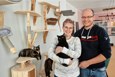 Katzencafé in Chemnitz vor der Eröffnung: Das erwartet die Besucher - Franziska Müller und ihr Lebensgefährte Pierre Dost im Katzencafé auf dem Kaßberg. 