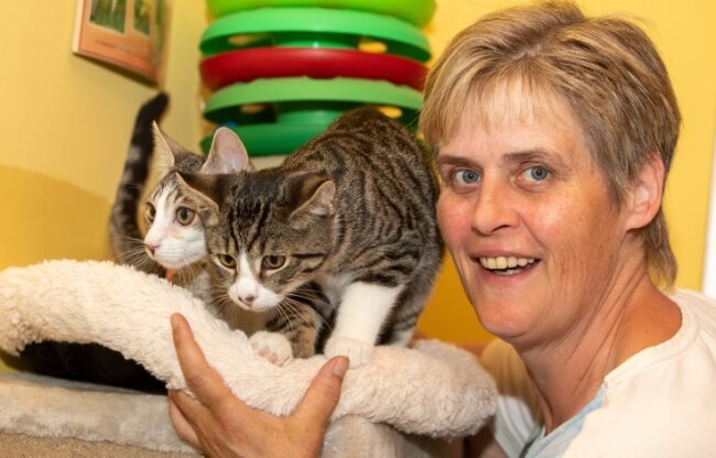 Katzenflut: Plauener Tierheim verhängt Aufnahmestopp - Tierheimchefin Antje Kausch mit den Katzen Elmo und Elvis. In der Einrichtung am Galgenberg werden derzeit mehr als 100 Katzen versorgt. 