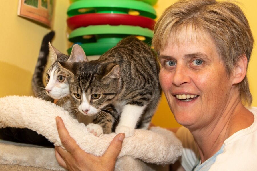 Katzenflut: Tierheim verhängt Aufnahmestopp - Tierheimchefin Antje Kausch mit den Katzen Elmo und Elvis. In der Einrichtung am Galgenberg werden derzeit mehr als 100 Katzen gepflegt. 