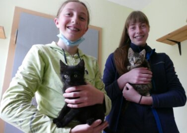 Katzenjunge finden ihr Zuhause - Bei Judith (links) und Luise Weber befinden sich Felix und Charlie in guten Händen. 