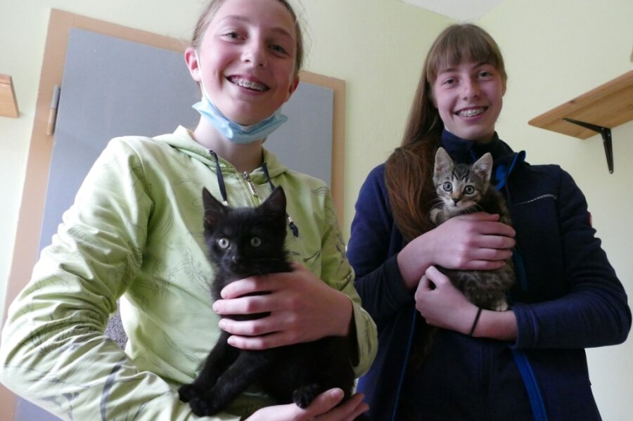 Katzenjunge finden ihr Zuhause - Bei Judith (links) und Luise Weber befinden sich Felix und Charlie in guten Händen. 