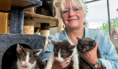 Katzenrettung: Helferin erhebt Vorwürfe - Angelika Reimann und eine weitere Helferin haben die Katzen aufgenommen und sie in sofortige ärztliche Behandlung gegeben. Mittlerweile konnten einige Tiere wieder vermittelt werden. 